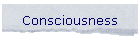 Consciousness