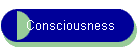Consciousness